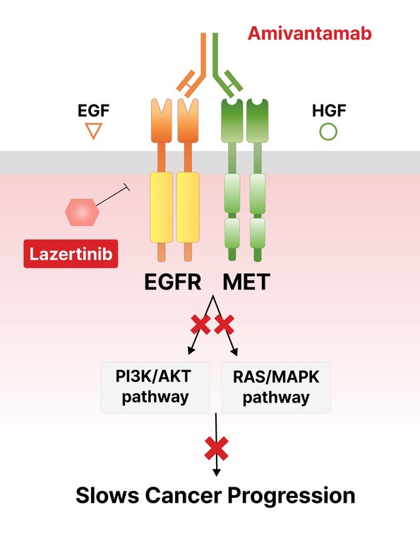 lazertinib-oscotec1-1